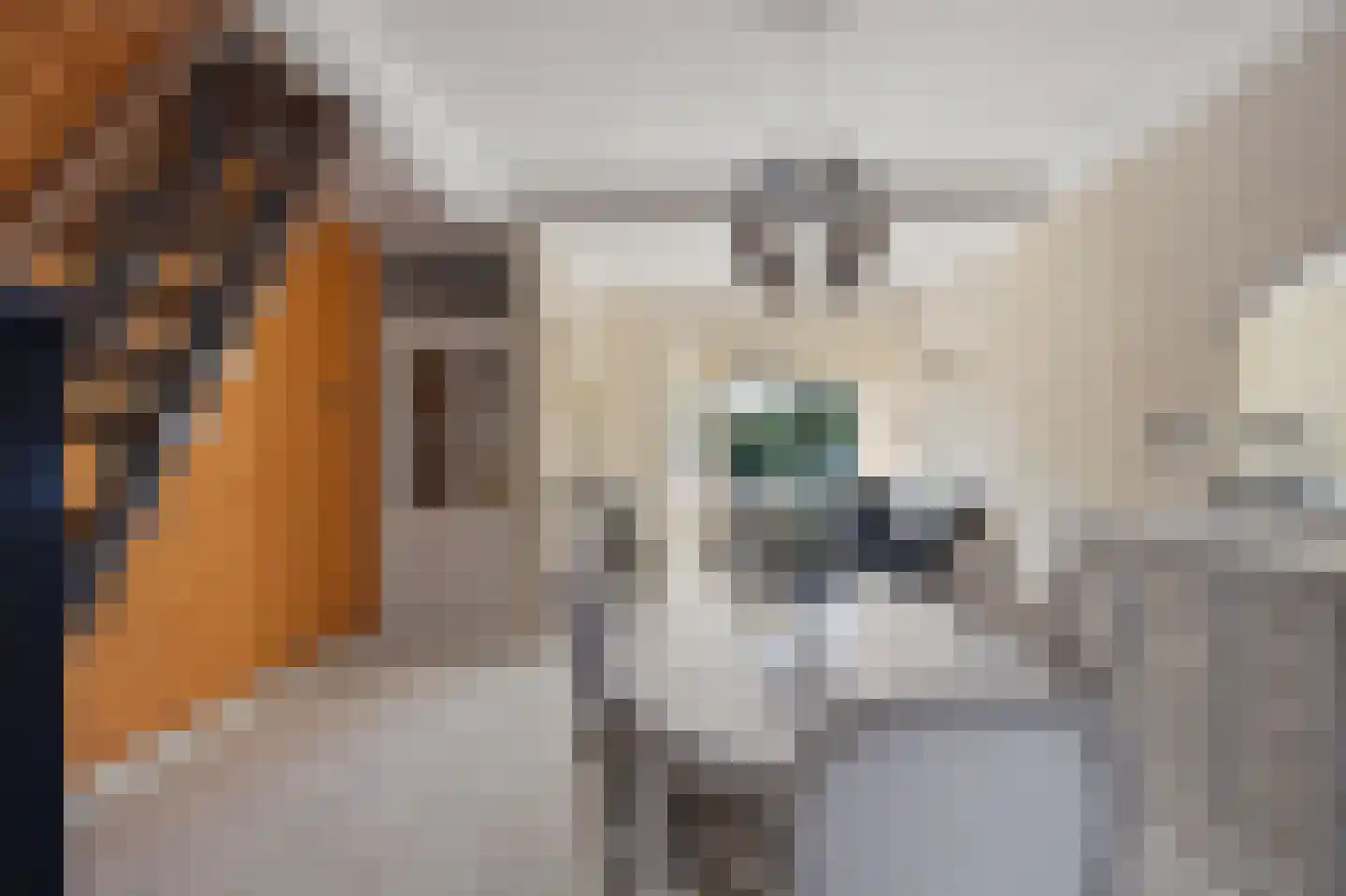 Acaciasingel 39 's-Hertogenbosch thumbnail 7