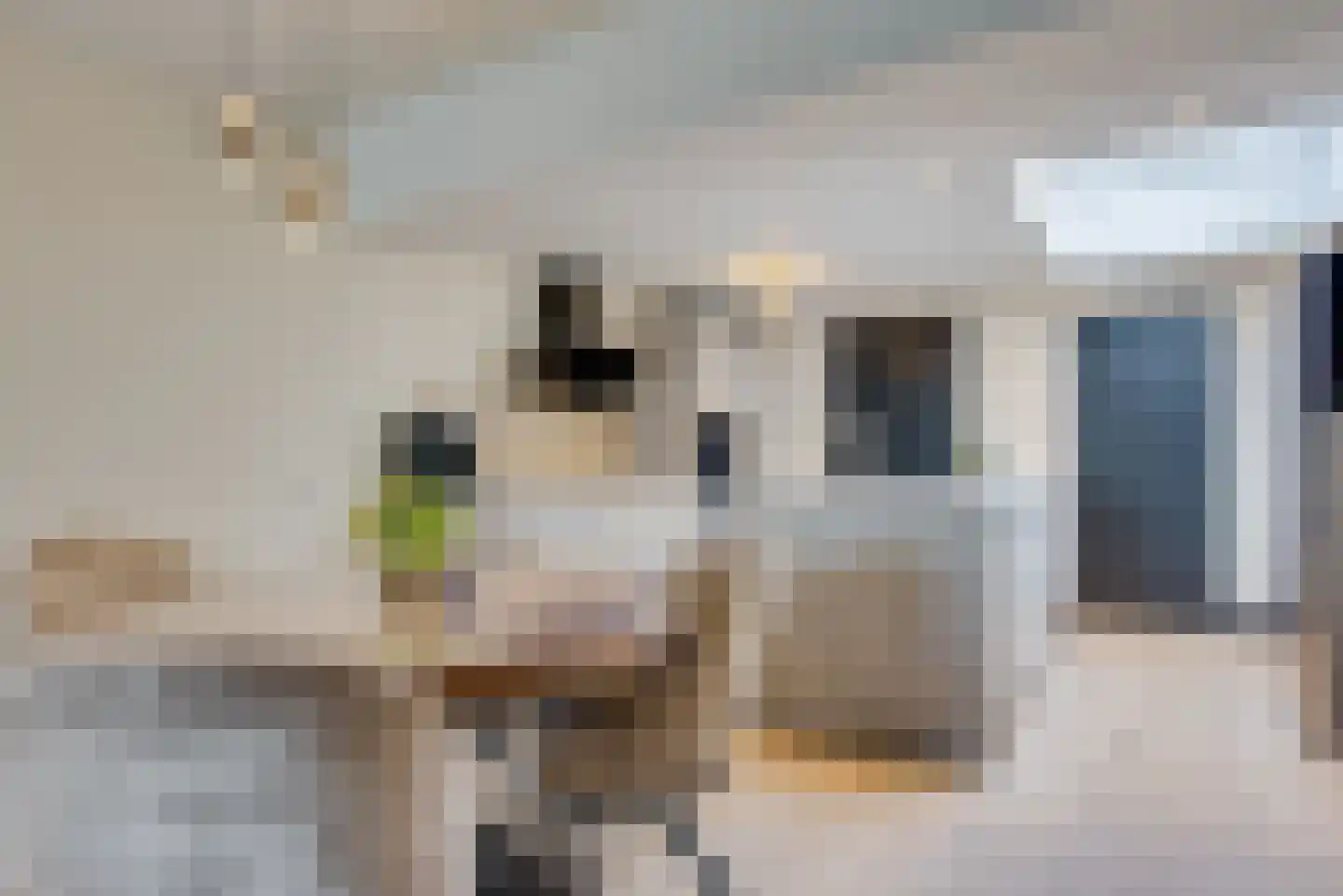 Acaciasingel 48 's-Hertogenbosch thumbnail 12