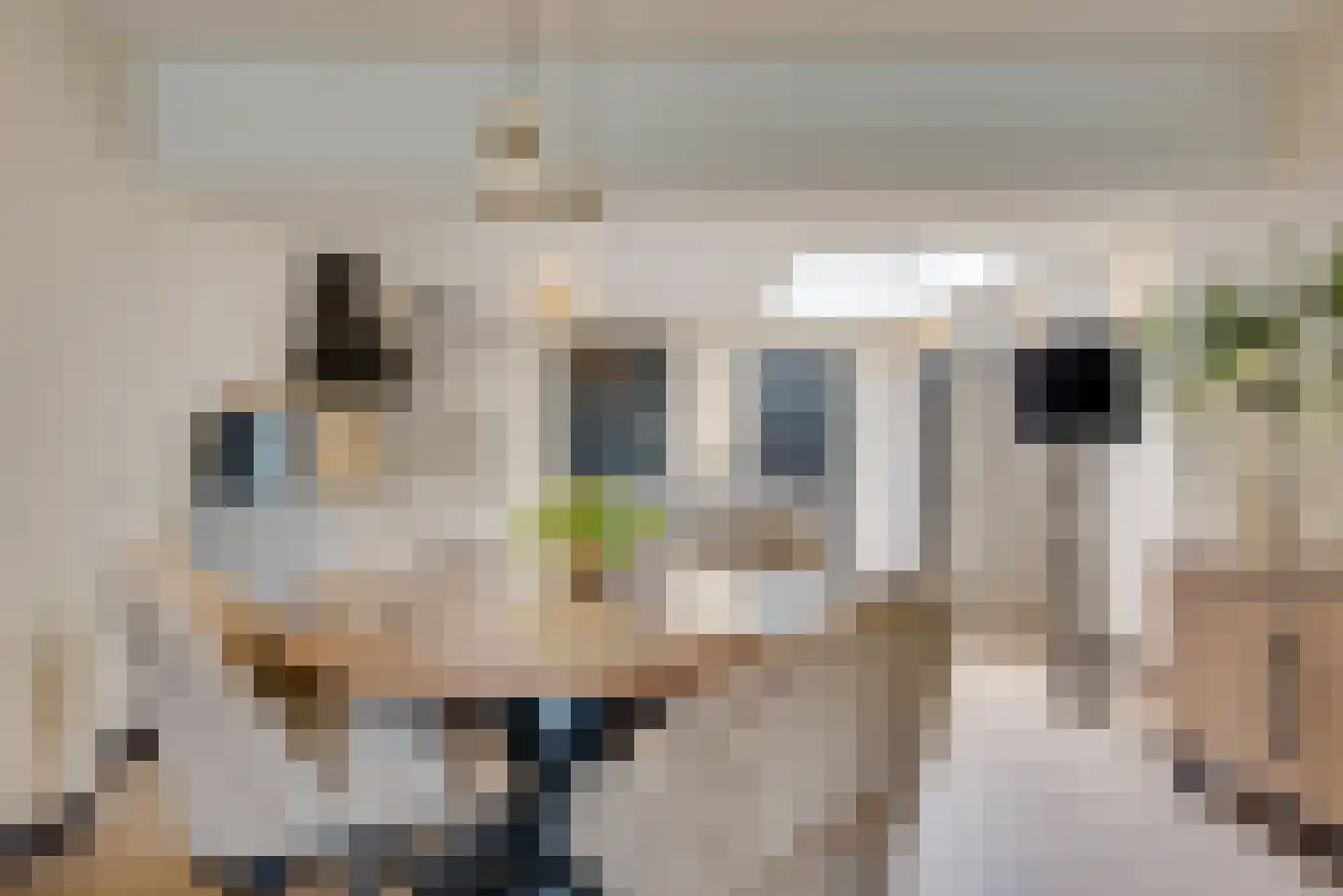 Acaciasingel 48 's-Hertogenbosch thumbnail 13