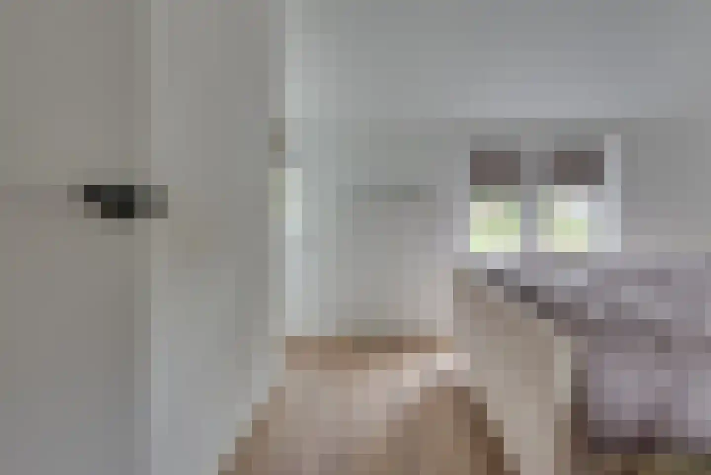 Acaciasingel 48 's-Hertogenbosch thumbnail 20
