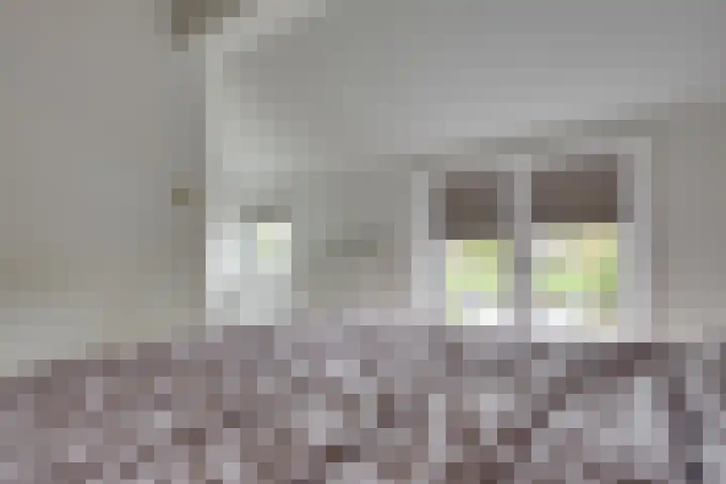 Acaciasingel 48 's-Hertogenbosch thumbnail 21