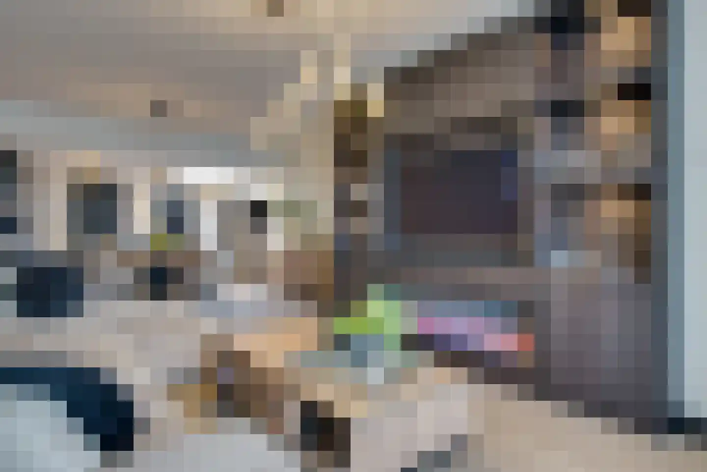 Acaciasingel 48 's-Hertogenbosch thumbnail 5