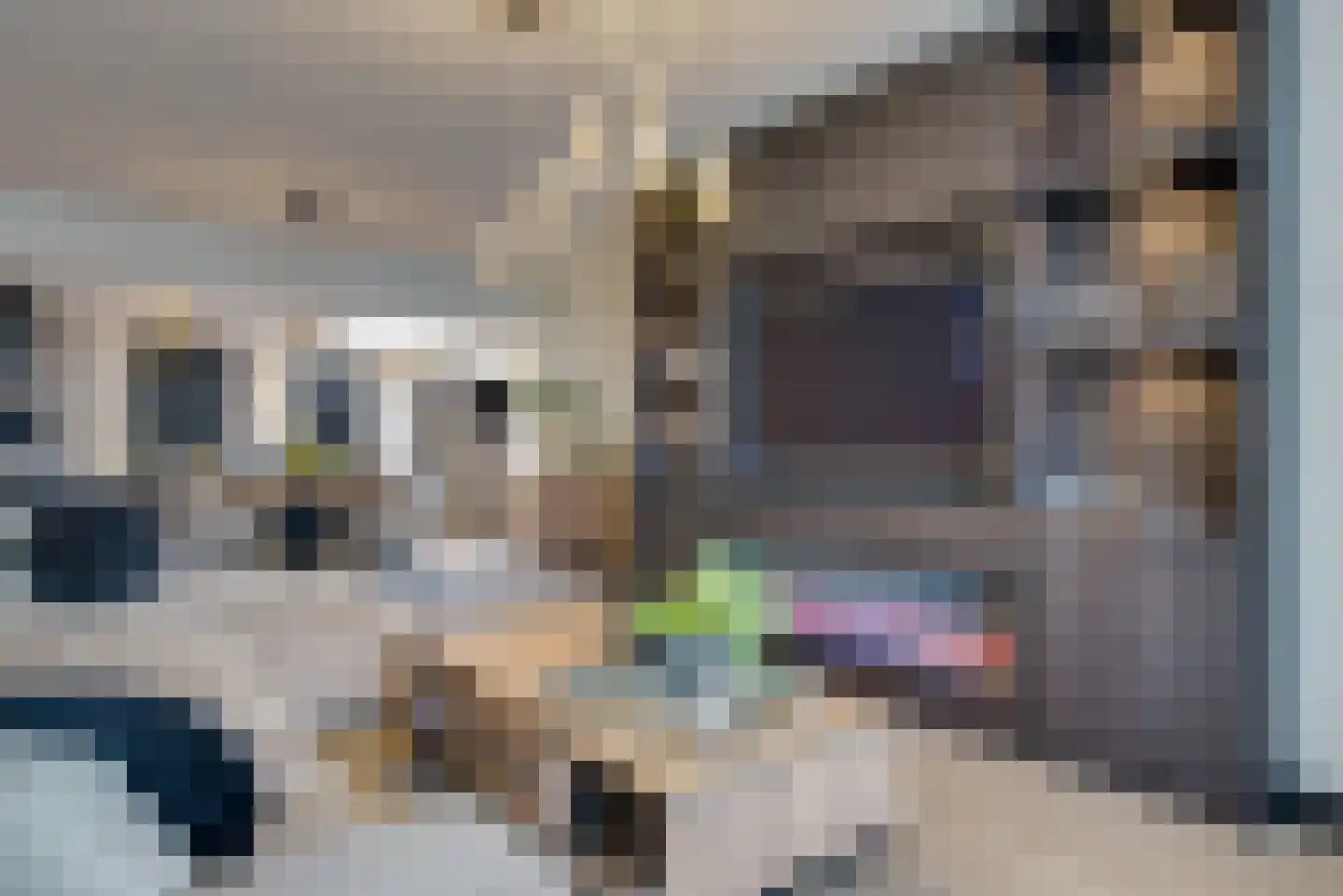 Acaciasingel 48 's-Hertogenbosch thumbnail 5