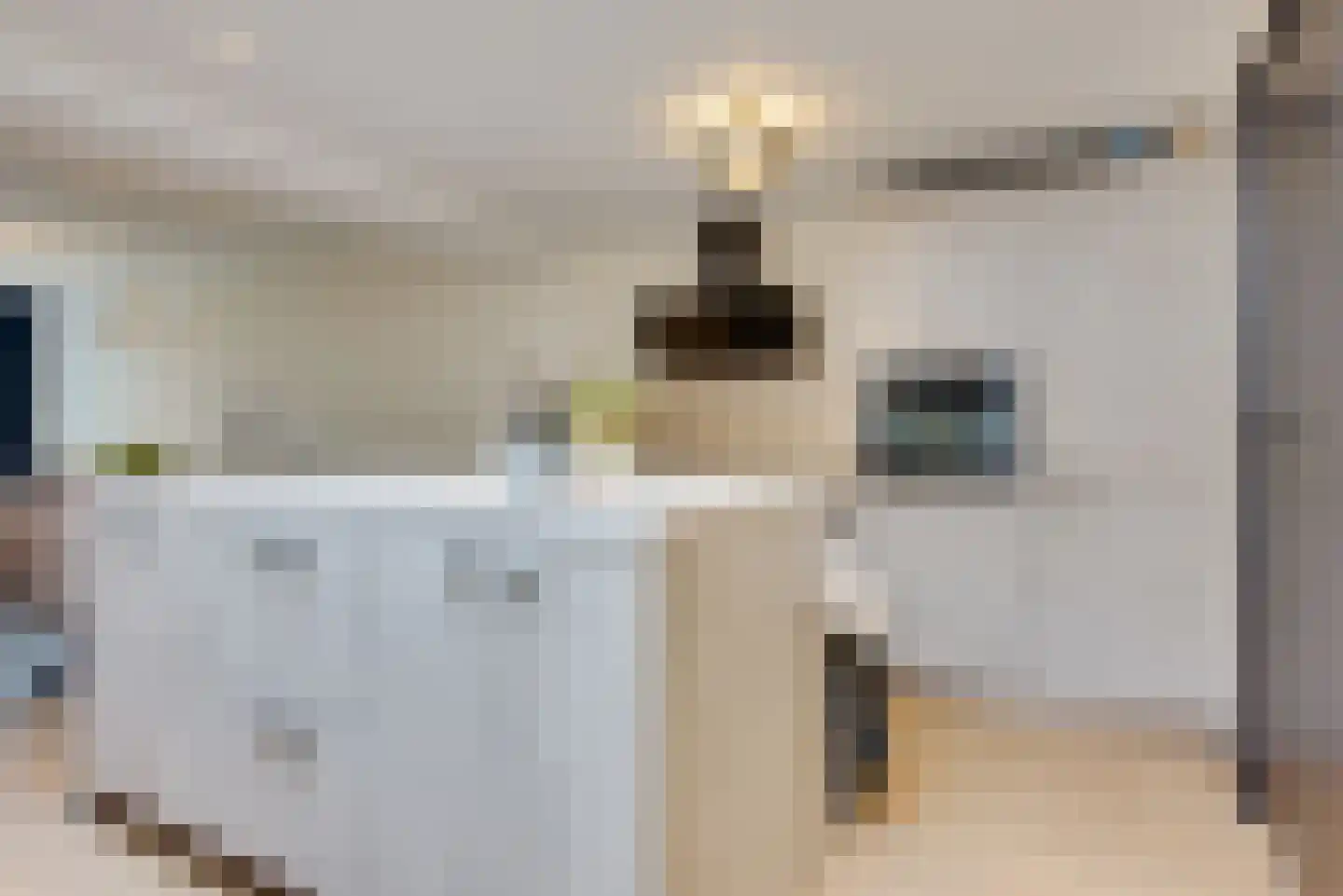 Acaciasingel 48 's-Hertogenbosch thumbnail 9