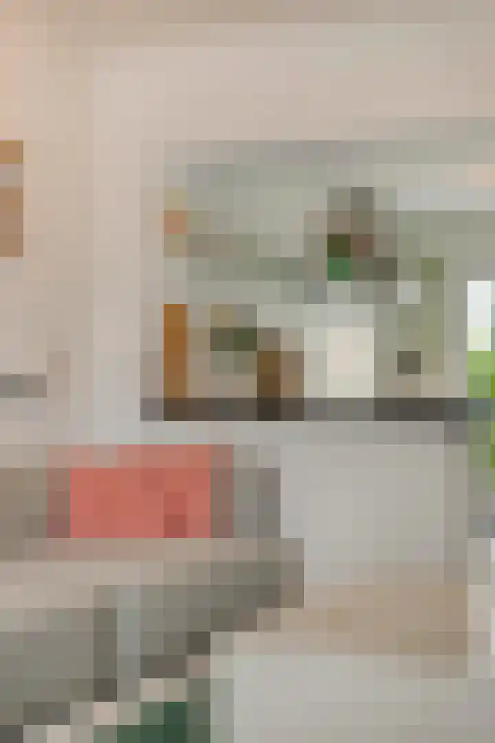 Acaciasingel 49 's-Hertogenbosch thumbnail 15