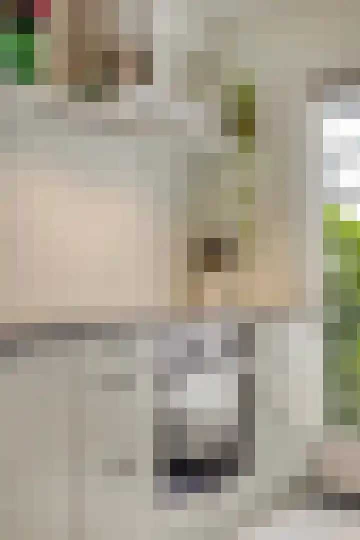 Acaciasingel 49 's-Hertogenbosch thumbnail 21
