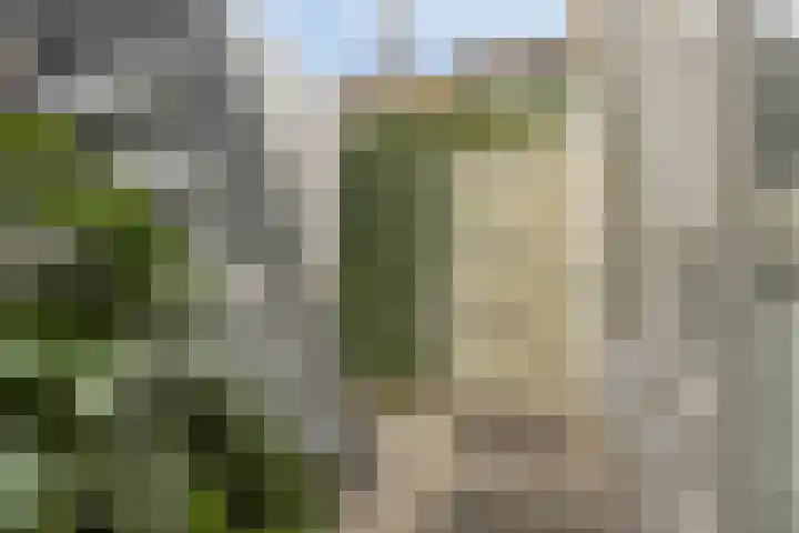 Acaciasingel 49 's-Hertogenbosch thumbnail 26