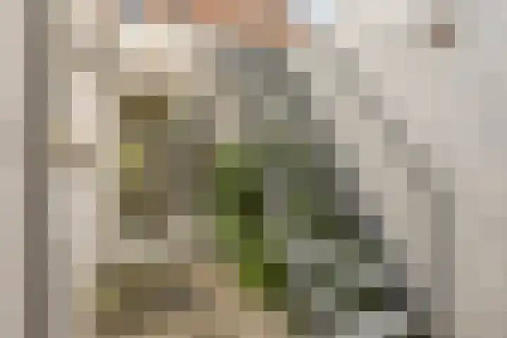 Acaciasingel 49 's-Hertogenbosch thumbnail 27