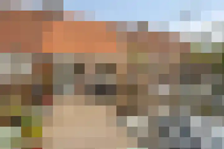 Acaciasingel 49 's-Hertogenbosch thumbnail 28