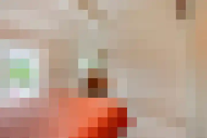 Acaciasingel 49 's-Hertogenbosch thumbnail 33