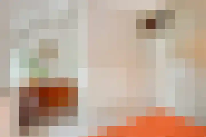 Acaciasingel 49 's-Hertogenbosch thumbnail 34