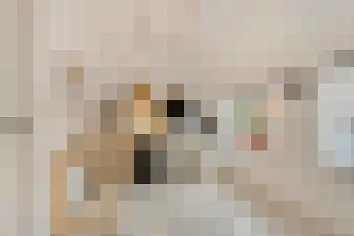 Acaciasingel 49 's-Hertogenbosch thumbnail 36