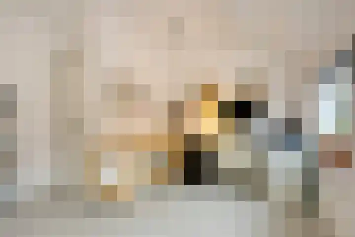 Acaciasingel 49 's-Hertogenbosch thumbnail 38
