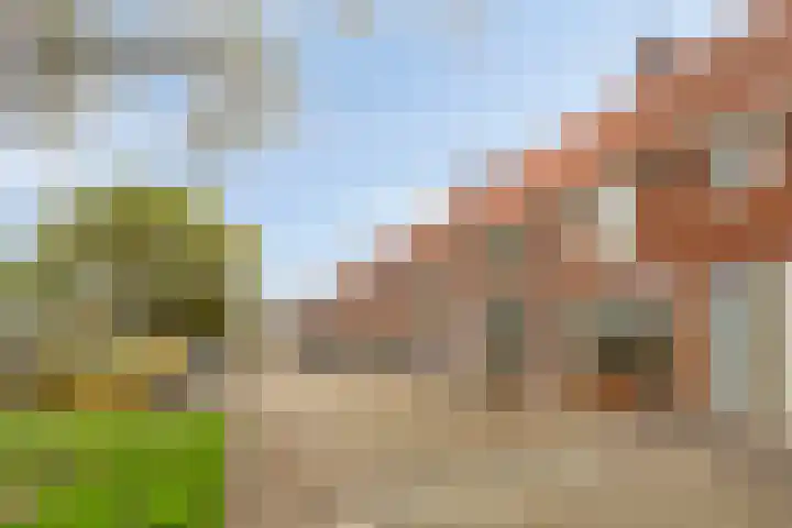 Acaciasingel 49 's-Hertogenbosch thumbnail 4