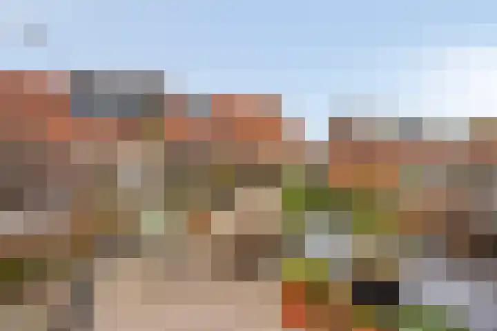 Acaciasingel 49 's-Hertogenbosch thumbnail 40