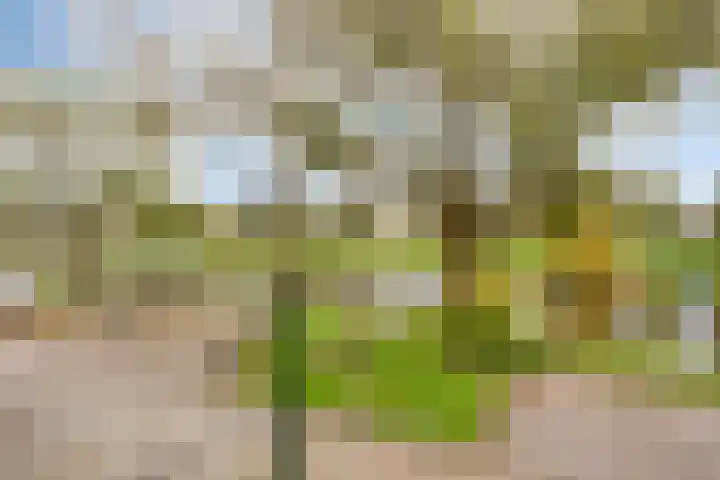 Acaciasingel 49 's-Hertogenbosch thumbnail 41