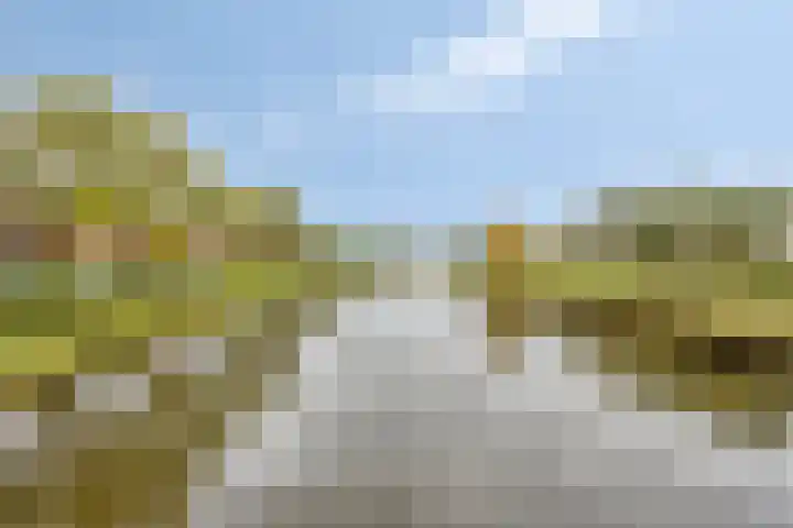 Acaciasingel 49 's-Hertogenbosch thumbnail 45
