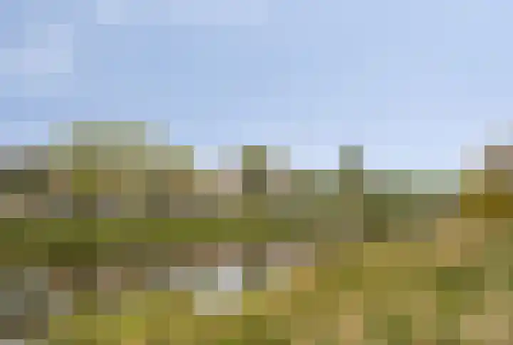 Acaciasingel 49 's-Hertogenbosch thumbnail 46