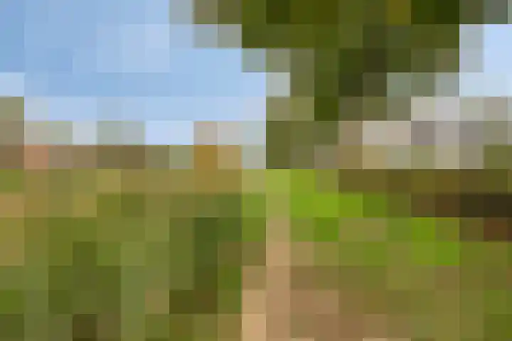 Acaciasingel 49 's-Hertogenbosch thumbnail 47