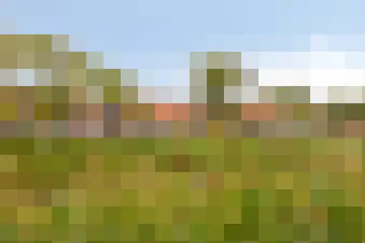 Acaciasingel 49 's-Hertogenbosch thumbnail 48