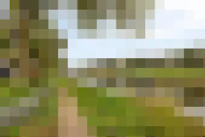 Acaciasingel 49 's-Hertogenbosch thumbnail 49