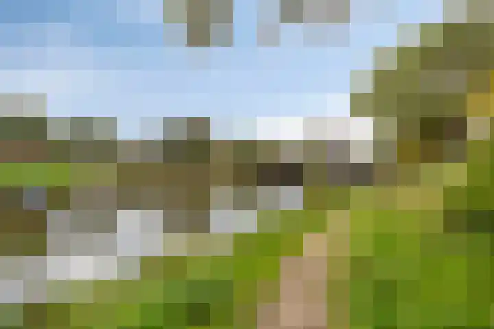 Acaciasingel 49 's-Hertogenbosch thumbnail 50