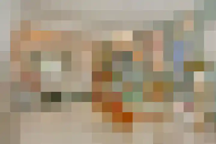 Acaciasingel 49 's-Hertogenbosch thumbnail 7
