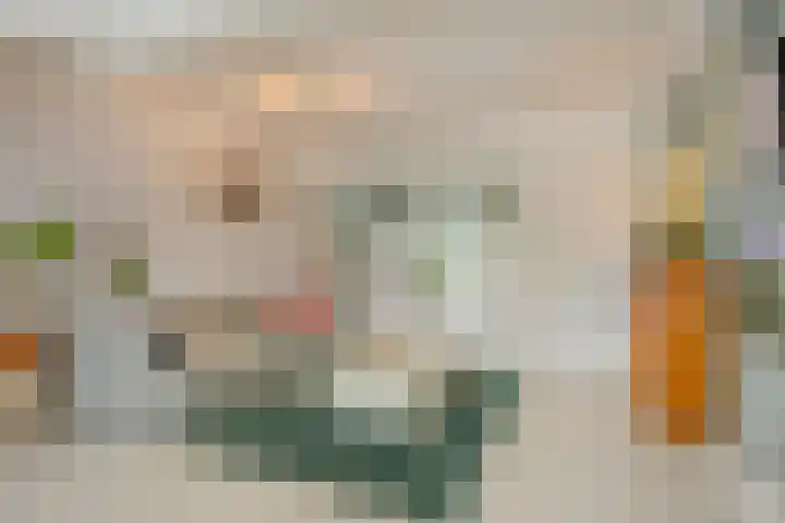 Acaciasingel 49 's-Hertogenbosch thumbnail 8