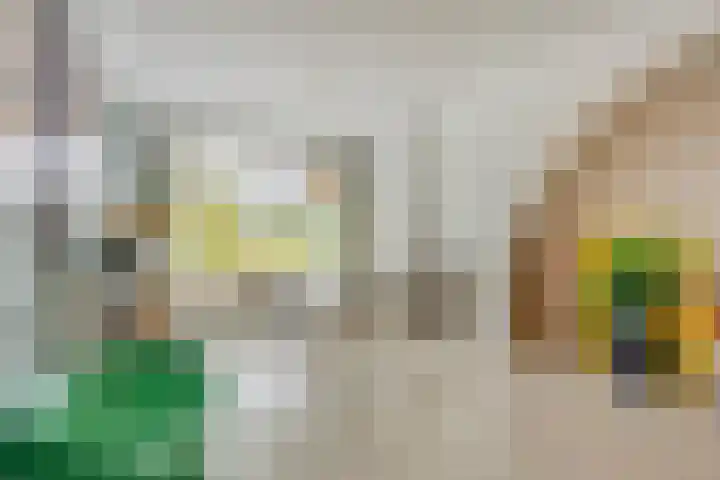 Acaciasingel 49 's-Hertogenbosch thumbnail 9