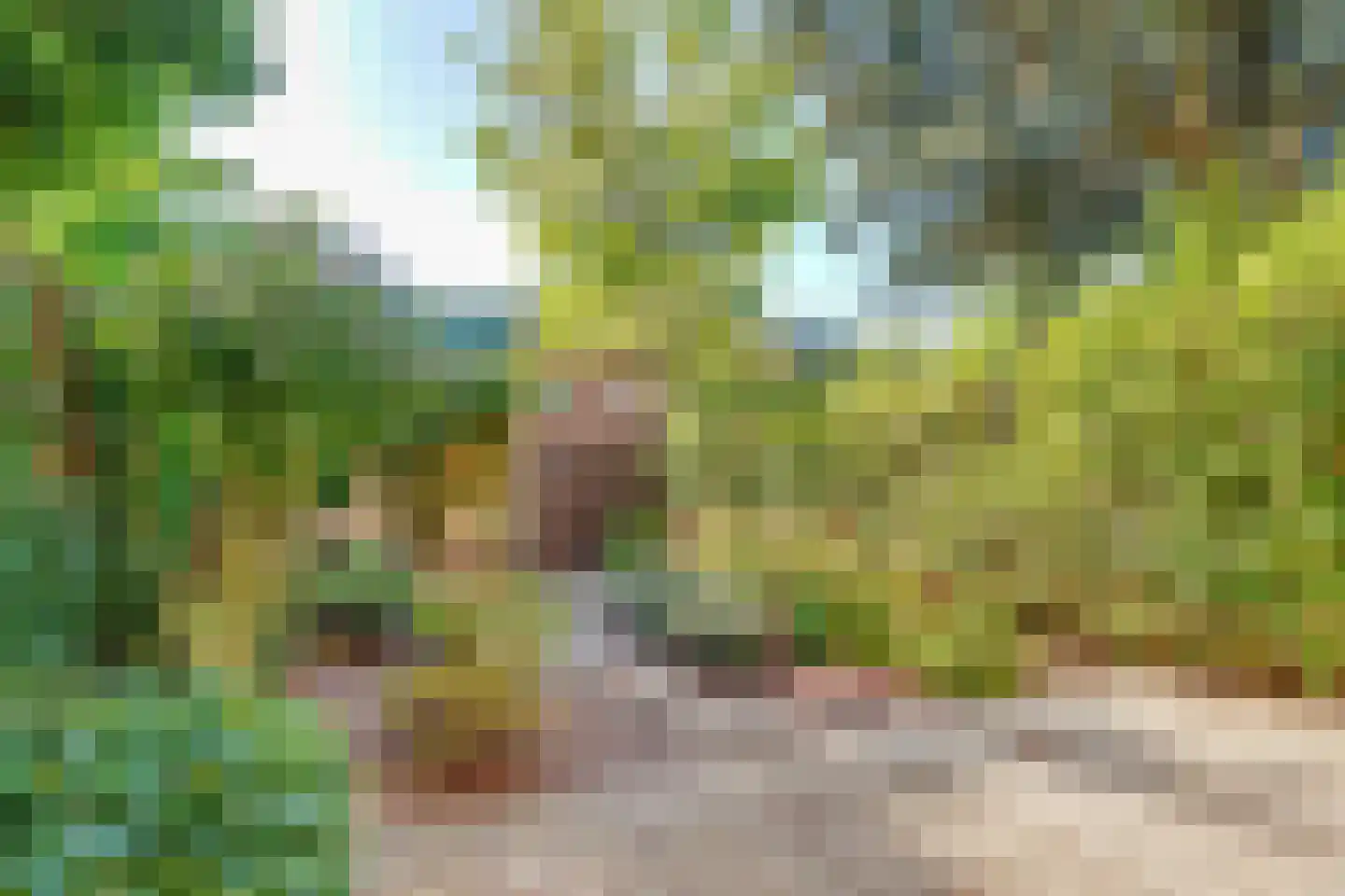 Acaciastede 3 Diemen thumbnail 22