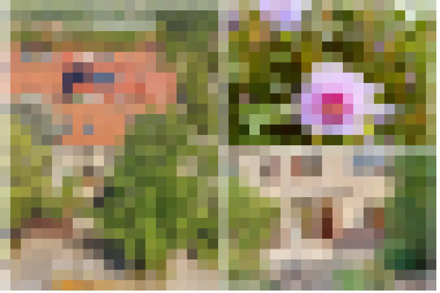Acaciastede 3 Diemen thumbnail 31