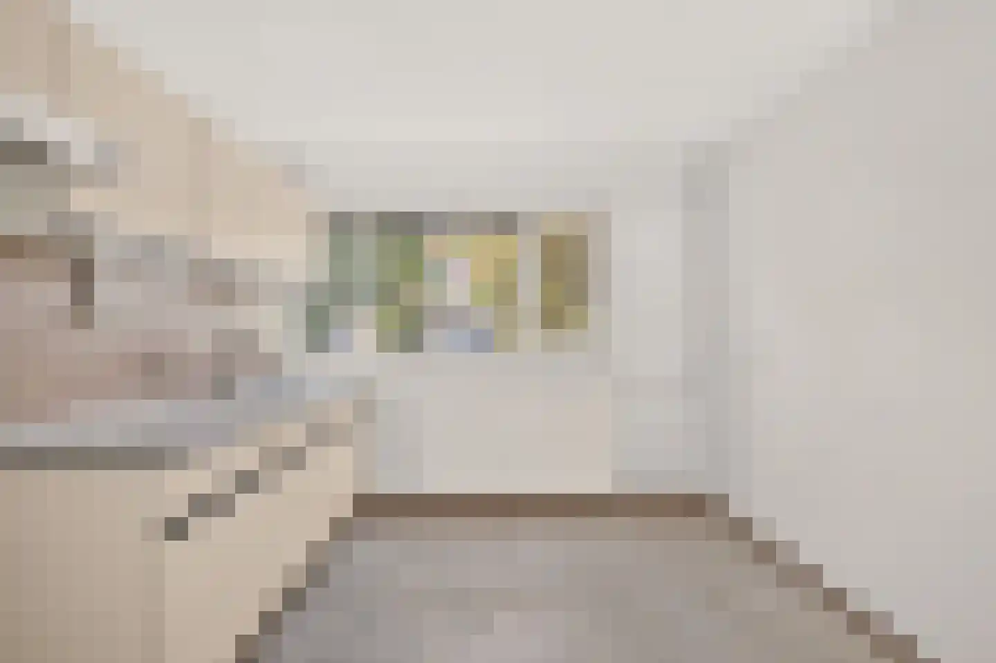 Acaciastede 5 Diemen thumbnail 16