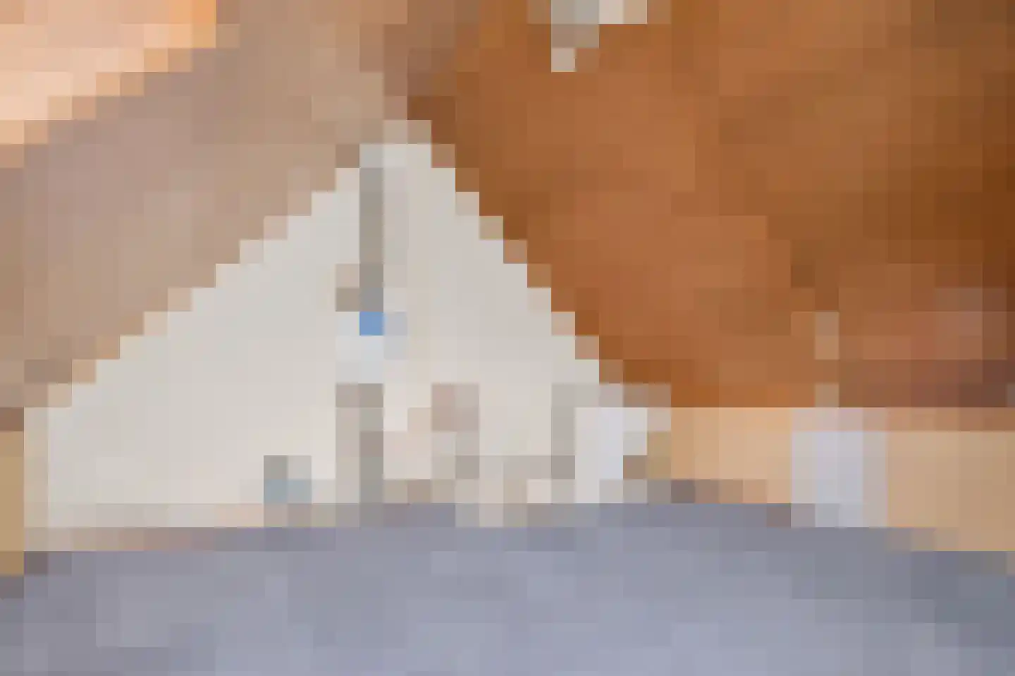 Acaciastede 5 Diemen thumbnail 22