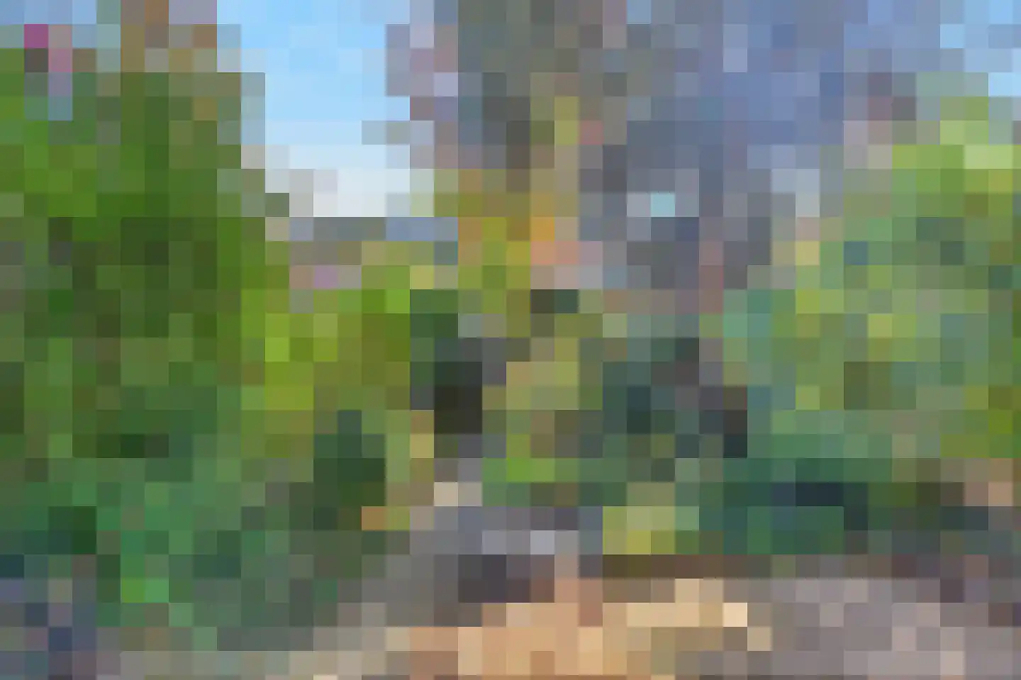 Acaciastede 5 Diemen thumbnail 29