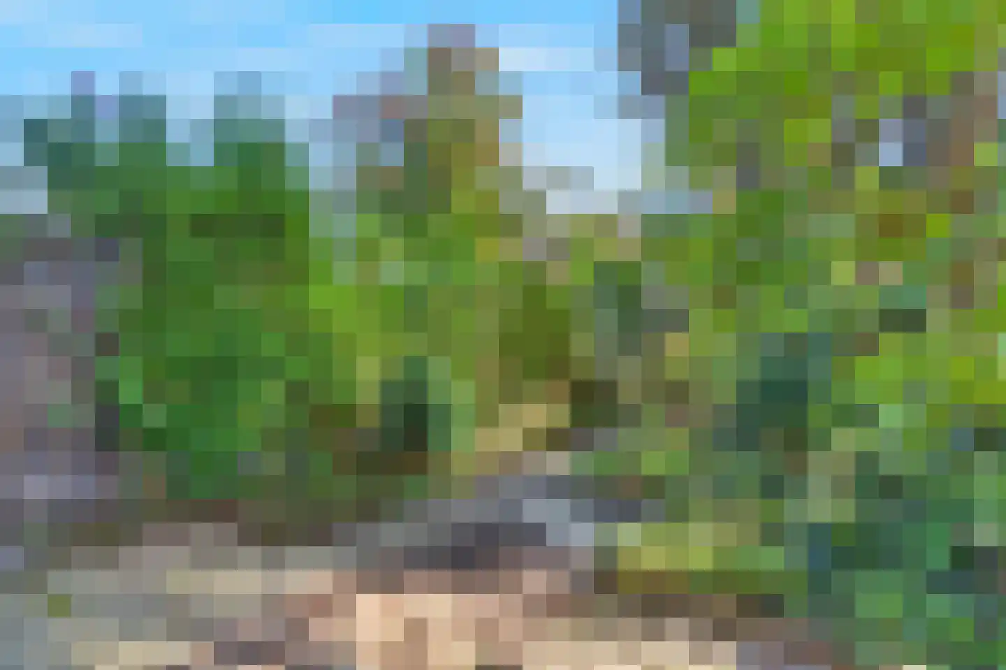 Acaciastede 5 Diemen thumbnail 30