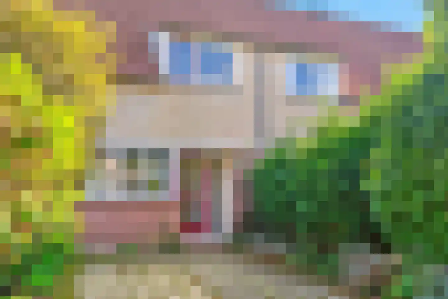 Acaciastede 5 Diemen thumbnail 31