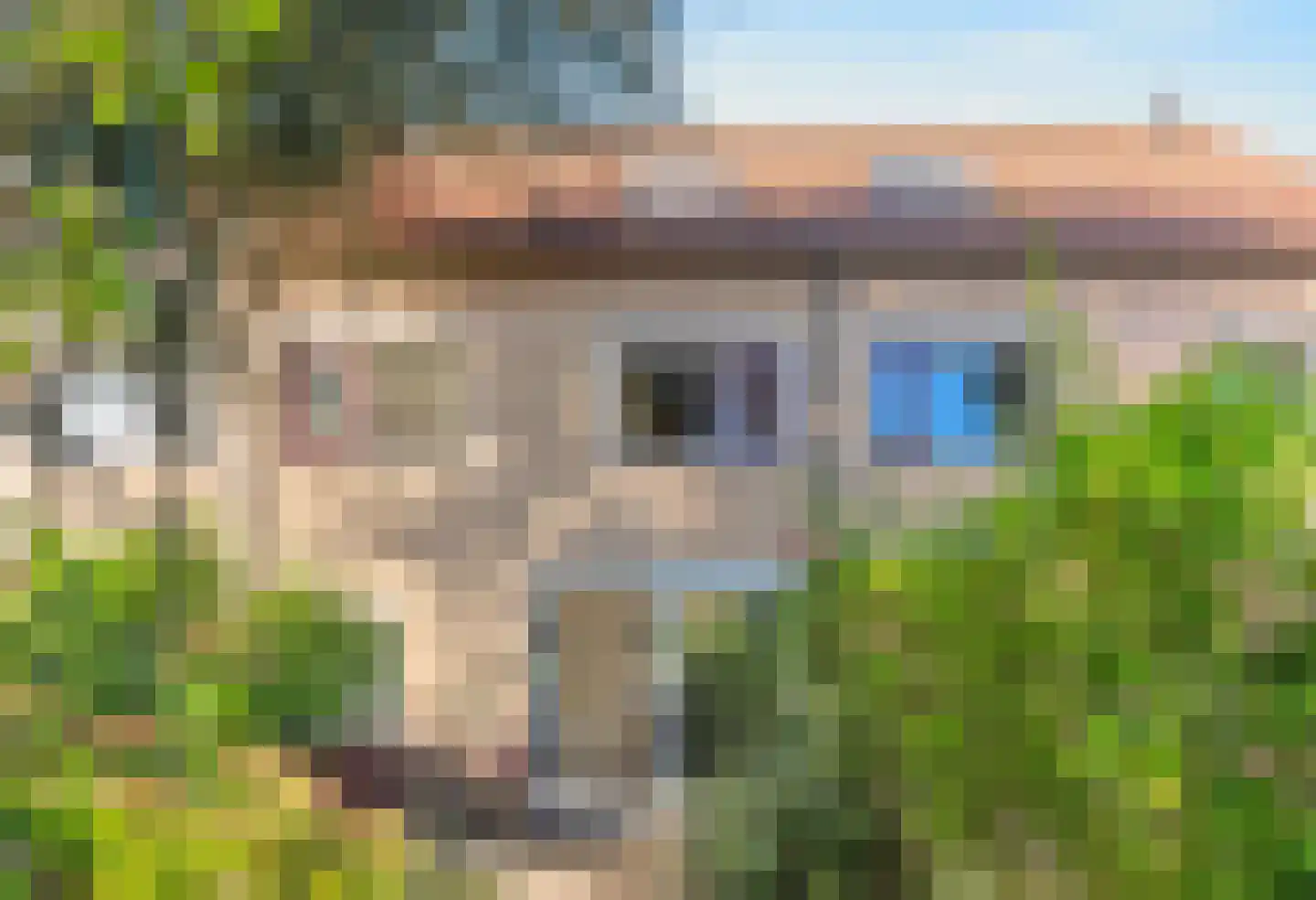 Acaciastede 5 Diemen thumbnail 34