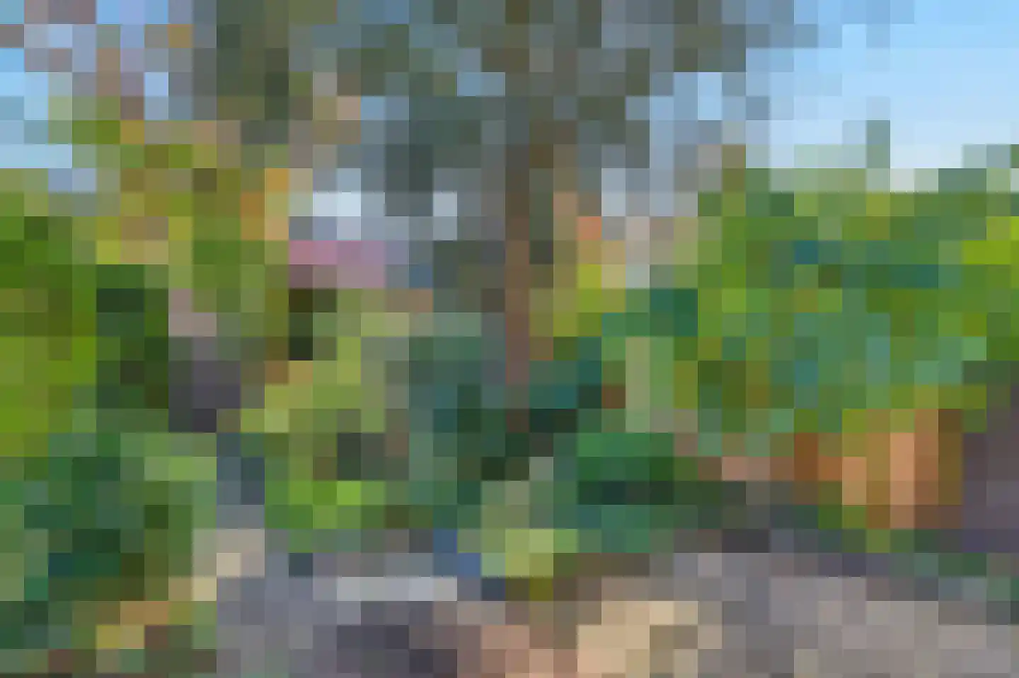 Acaciastede 5 Diemen thumbnail 6