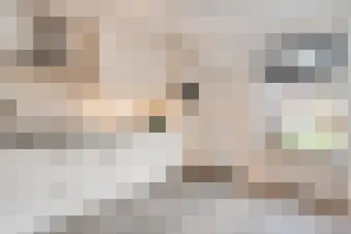 Acaciastraat 1 A Nieuwleusen thumbnail 12