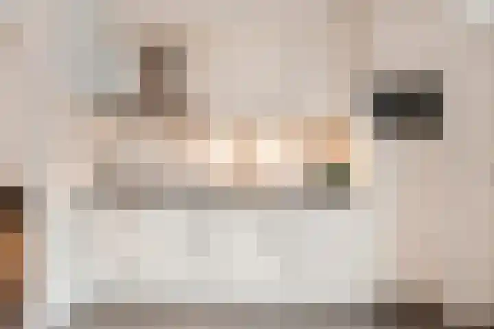 Acaciastraat 1 A Nieuwleusen thumbnail 13