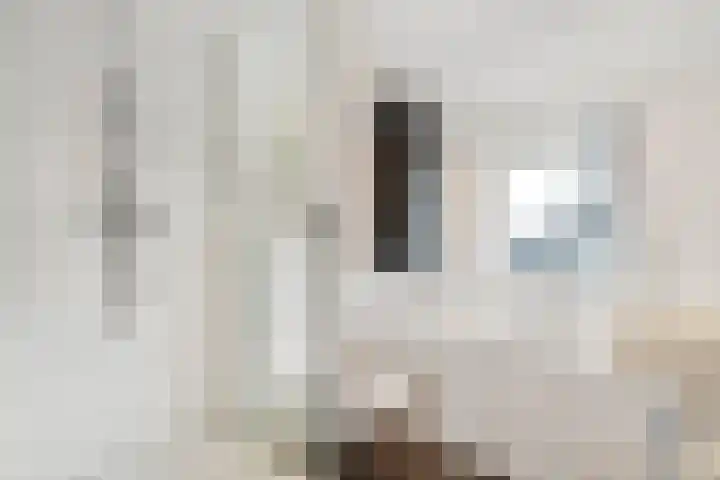Acaciastraat 1 A Nieuwleusen thumbnail 20