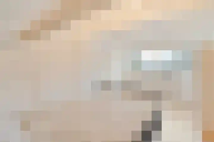 Acaciastraat 1 A Nieuwleusen thumbnail 23