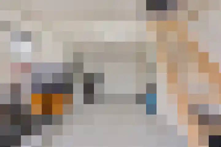 Acaciastraat 1 A Nieuwleusen thumbnail 29