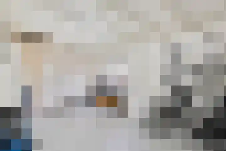 Acaciastraat 1 A Nieuwleusen thumbnail 30