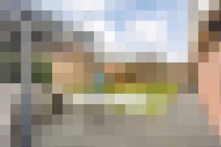 Acaciastraat 1 A Nieuwleusen thumbnail 35