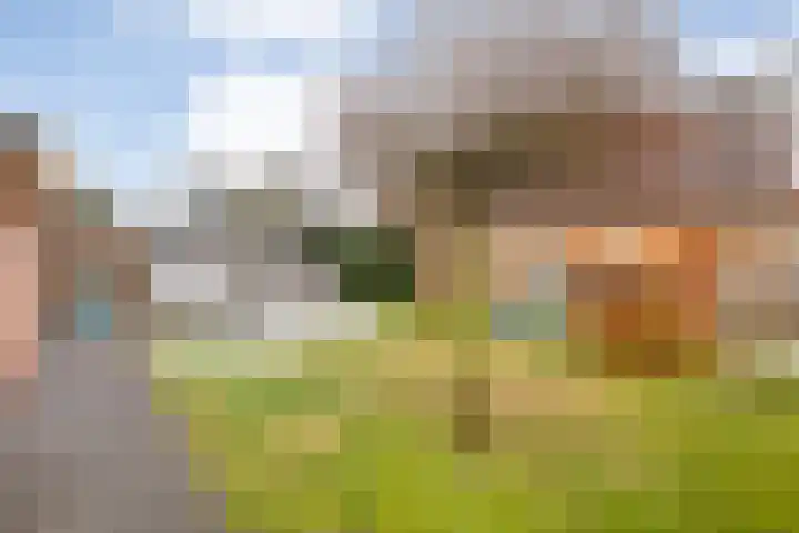 Acaciastraat 1 A Nieuwleusen thumbnail 36