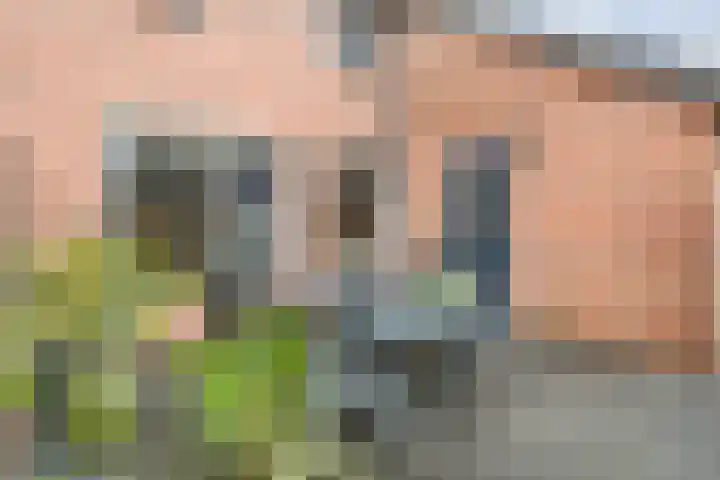 Acaciastraat 1 A Nieuwleusen thumbnail 37