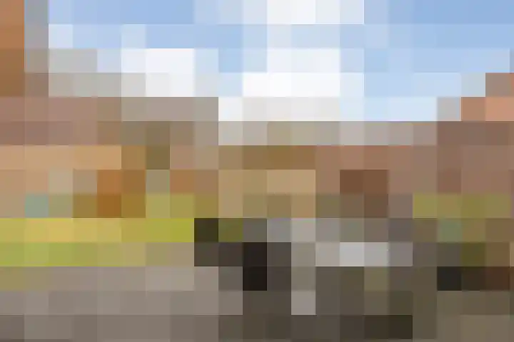 Acaciastraat 1 A Nieuwleusen thumbnail 38