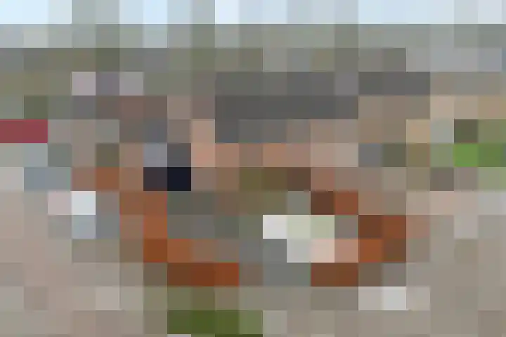 Acaciastraat 1 A Nieuwleusen thumbnail 4
