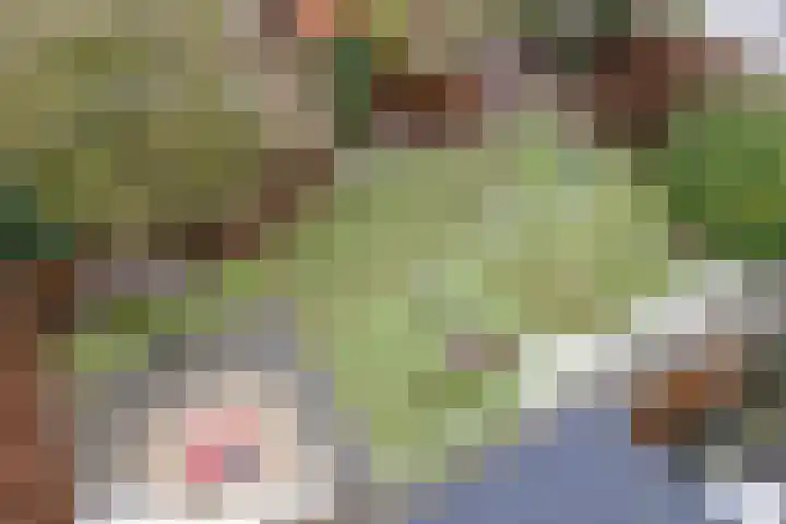 Acaciastraat 1 A Nieuwleusen thumbnail 40